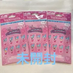 【新品未開封】ディズニー パルパルーザ ミニーのファンダーランド ワッペン