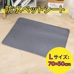 Item thumbnail for item b888fb78-5c81-4413-a76d-5aa126623f07