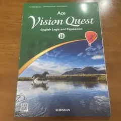 2026年最新】vision quest aceの人気アイテム - メルカリ