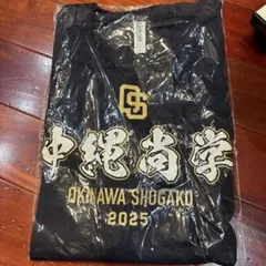 背番号付 東海大相模 甲子園用ユニフォーム 2010年 高校野球 渡辺勝 背番号付 東海大相模 甲子園用ユニフォーム 2010年 高校野球