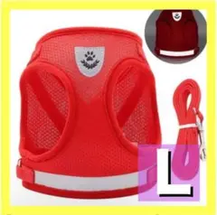 Item thumbnail for item 32eb2c8c-0020-41ed-ac35-5ab9c4bc3900