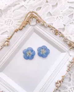 しい様専用☆ネジ式イヤリング