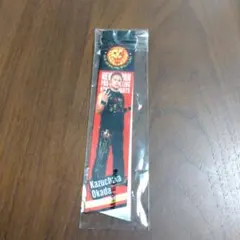 Item thumbnail for item cc17aead-6d84-40df-81f1-b06f8f5d3ca6