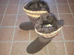 Item thumbnail for item f4deb0dd-787d-46fd-8c4a-8920e6e3ab14