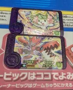 ポケモンフレンダ　ベストタッグ2弾