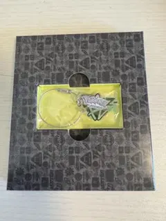 ポケモンZA サントラ特典 アクリルキーリング