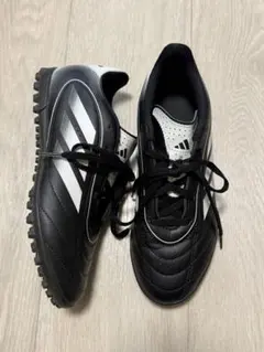 Item thumbnail for item 56ae3aaa-981f-4029-b3f5-7c56c06f4a60