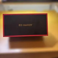 Ed Hardy サングラス 専用ケース付き