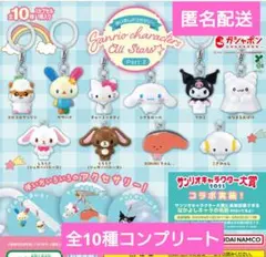 サンリオキャラクターズめじるしアクセサリー2　全10種コンプリート