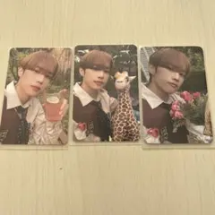 THEBOYZ ドボイズ ソヌ トレカセット シーグリ