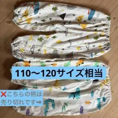 Item thumbnail for item 484b3f03-6e1d-451c-ba48-b39fbf11844a