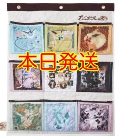 【新品未使用】ウォールポケット Eevee Collection