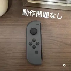 NintendoSwitch ジョイコン グレ