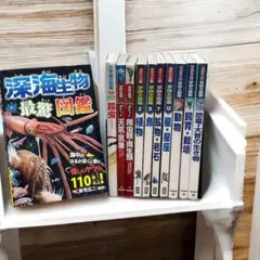 ポケット図鑑　11冊セット NEO POCKET 図鑑　他　図鑑