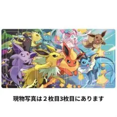 ポケモンカードゲーム　イーブイズサプライ5点セット　新品未開封　プレイマットなど ポケモンカードゲーム 海外限定 プレイマット イーブイズ (中国