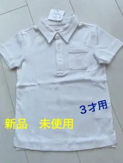 Item thumbnail for item 51bad460-44bb-4c49-add9-7ee4aa2b1bae