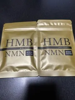 2026年最新】bodymasterの人気アイテム - メルカリ