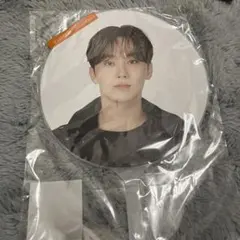 スングァン　うちわ　Follow