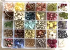 プリザーブドフラワー ドライフラワーセット 花材詰め合わせ　30種類ケース付き2
