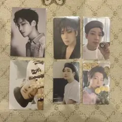 SEVENTEEN セブチ your choice トレカ ウォヌ