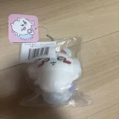 愛子様 リクエスト 2点 まとめ商品