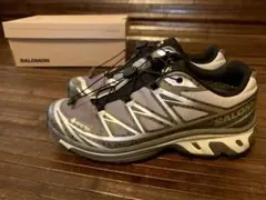 Salomon×Atmos XT-6 GTX "Concrete Jungle"