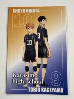 ハイキュー!! ハイキュープラザ 購入特典 ポストカード