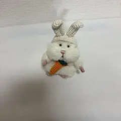 はむにぎり　うさぎ　着せ替え　コスチューム　ぬい活のサムネイル