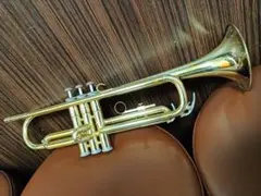 2026年最新】ytr-236の人気アイテム - メルカリ