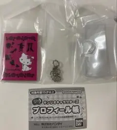 サンリオキャラクターズ プロフィール帳 マロンクリーム チャーミーキティ