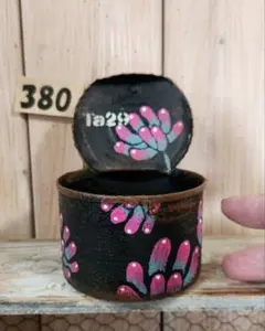 lemon様❤️❤️❤️専用です。380 ふたつきネコ缶、リメ缶