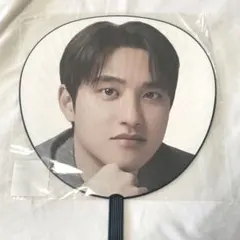 EXO ドギョンス ソウルコン うちわ イメージピケットセット ディオ