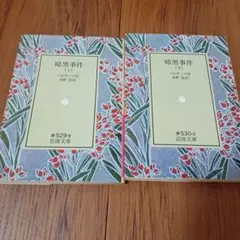 岩波文庫 文学・小説