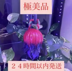 Item thumbnail for item 8e00722b-e292-490b-a3f8-fac9eb489562