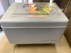 あき様専用　大正電機 レディースニーダー KN-30
