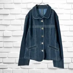 【PLUSIV 】デニム風　ジャケット　アウター　ストレッチ性　サイズ40