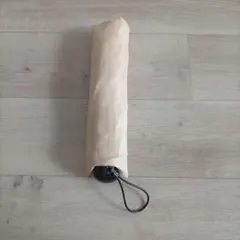 Item thumbnail for item 5b66a0e5-83f2-4aa6-a8c4-62b618e80f8a