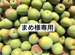 【まめ様専用】和歌山県産　南高梅　約5㎏