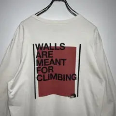 ノースフェイス　ロンT サイズL 長袖Tシャツ　ヴィンテージ　デカロゴ　古着