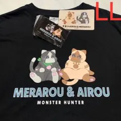 Item thumbnail for item e430afd4-d837-4018-9cbb-1916298d75bb