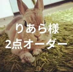 りあら様　2点オーダー専用ページ