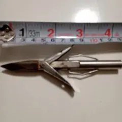 スピアーフィッシングの片羽