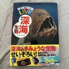 深海生物　DVD付き