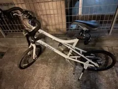 LOUIS GARNEAU ミニベロ　mvー2ホワイト 限定車　付属品付き