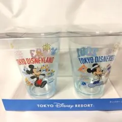 東京ディズニーリゾート グラス 2個セット