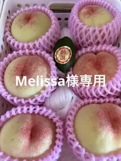 Melissa様専用です