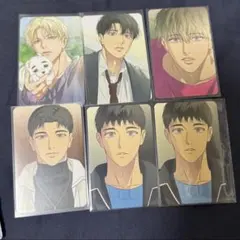 韓国 BL LEZHIN コレクションカード トレカ 解氷曲線 해빙곡선 12枚