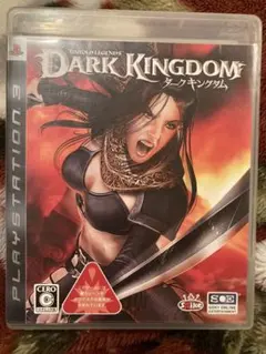 エ*ギ様 DARK KINGDOM ダークキングダム PS3