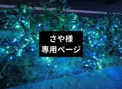 さや様専用ページ