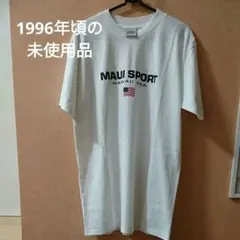 Item thumbnail for item a8dc8f75-7700-49f3-ac0d-8ba038473ed2